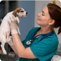 Katona Ramóna csapattag