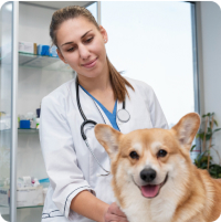 Tóth Orsolya csapattag